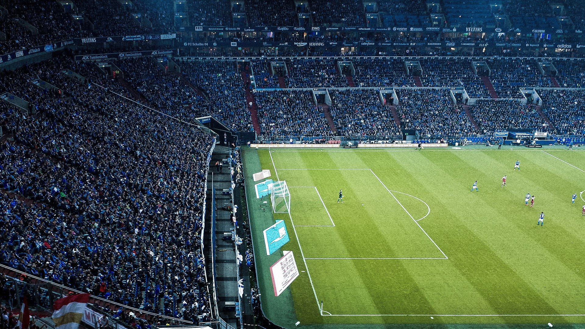 世界杯预选赛中国女足战胜 球迷热情不减，2021世界杯预选赛女足