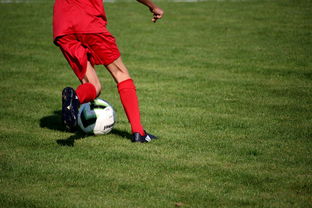 mk体育app-中国青少年篮球运动员伤病防控体系建设，青少年篮球训练现状分析