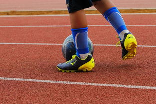 mk体育平台网页版入口-中国青少年篮球运动员体能素质发展规律，我国篮球青少年运动发展现状