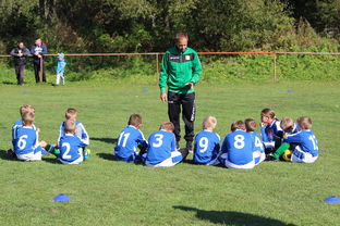 mk体育现在-五大联赛是否提升边路轮换参与战术决策比重，五大联赛可以换5人